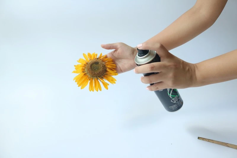 Floral - Supplies for Flower Drying and Arranging